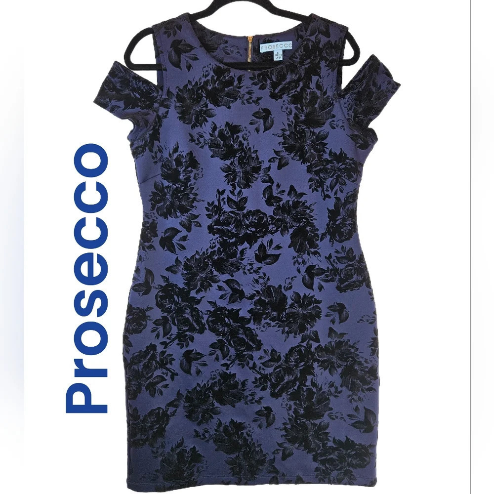 Prosecco Womens Wendy Dress Sz 10 Navy/Purple Black Velvet Roses Cocktail
